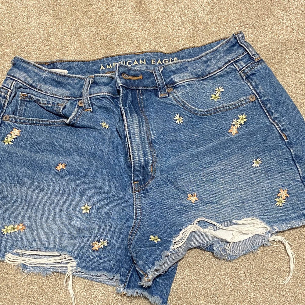 American Eagle Outfitters Floral Embroidered Jean Shorts